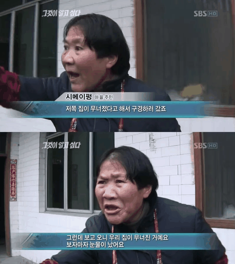 자연재해 짤