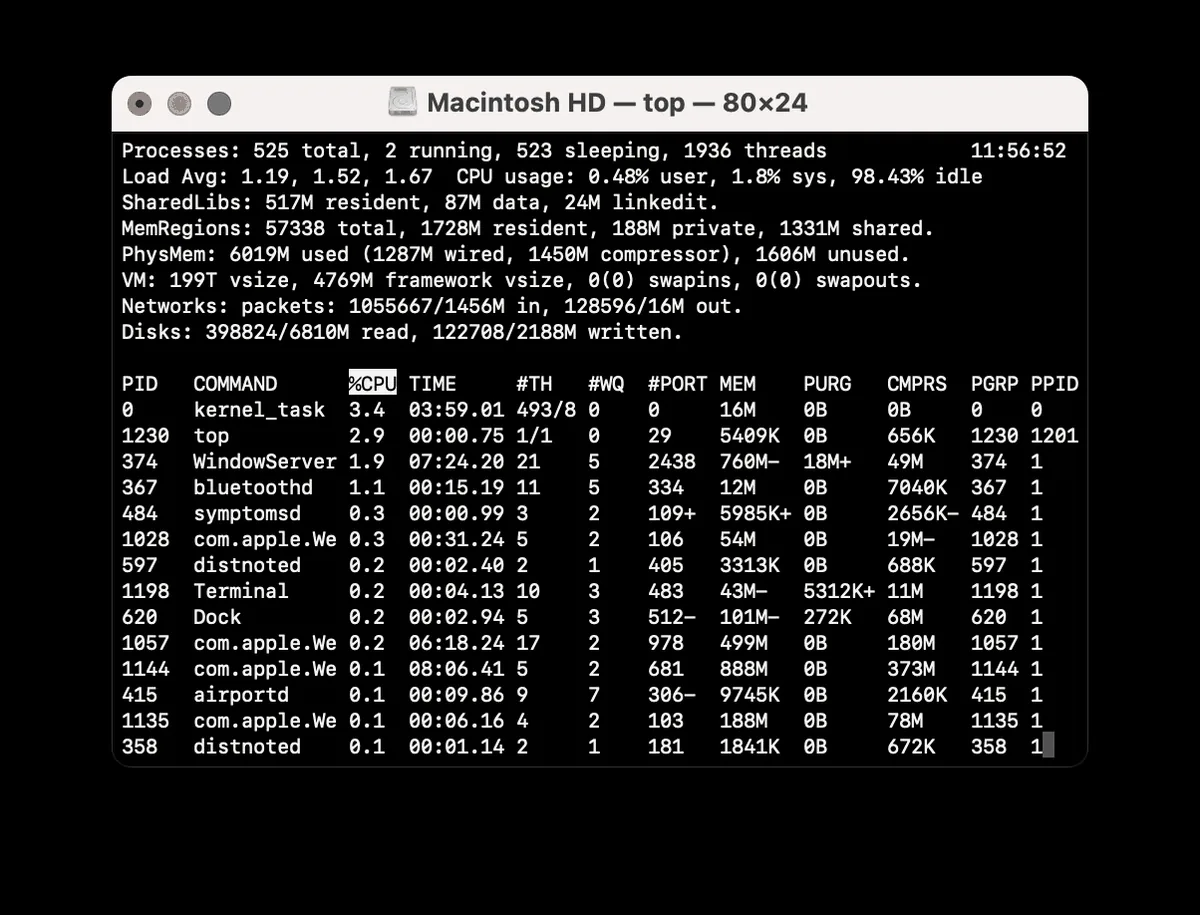 macOS 터미널 창에서 top 명령을 실행해 프로세스 목록이 글자로 나열된 화면. 메뉴나 아이콘 없이 텍스트로만 이루어져 있다